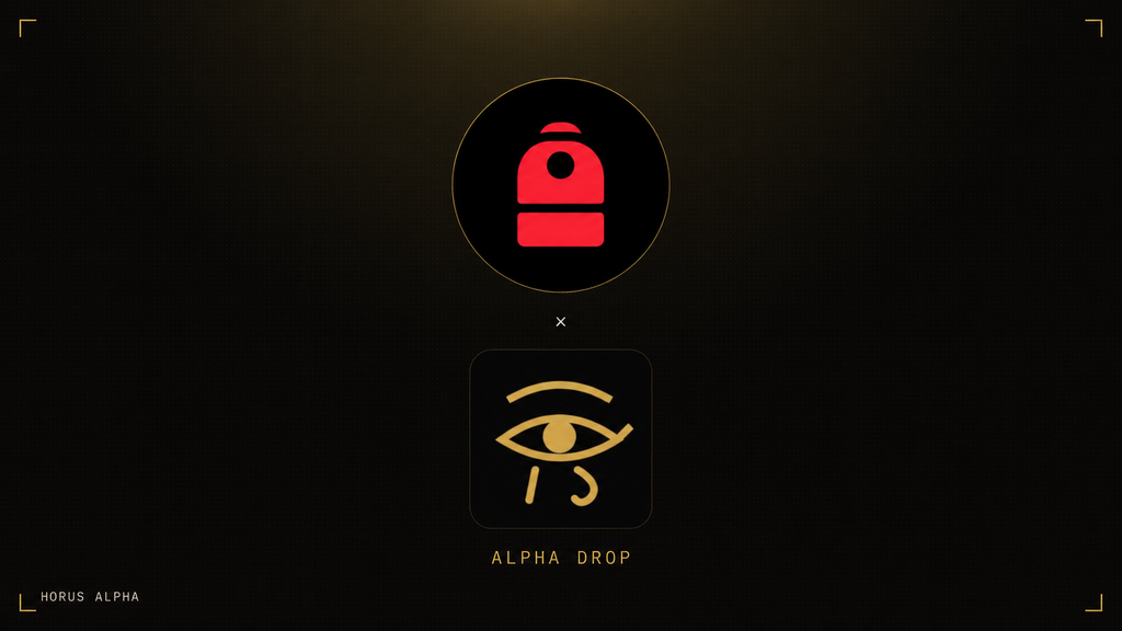 Backpack Exchange Thesis Analysis